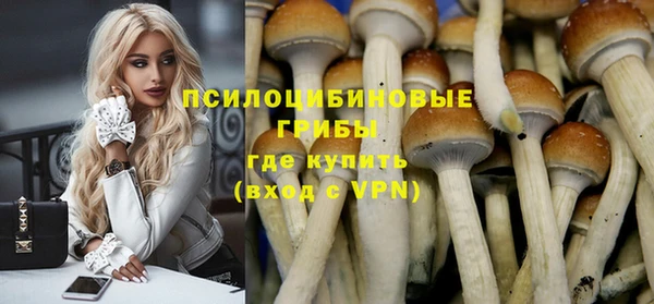 mix Лабытнанги