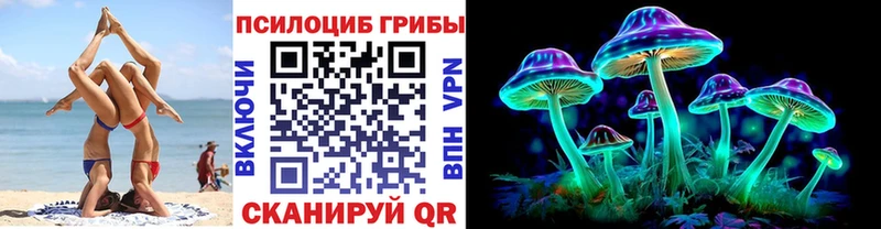 Купить закладки  Малоярославец  Псилоцибиновые грибы Cubensis 